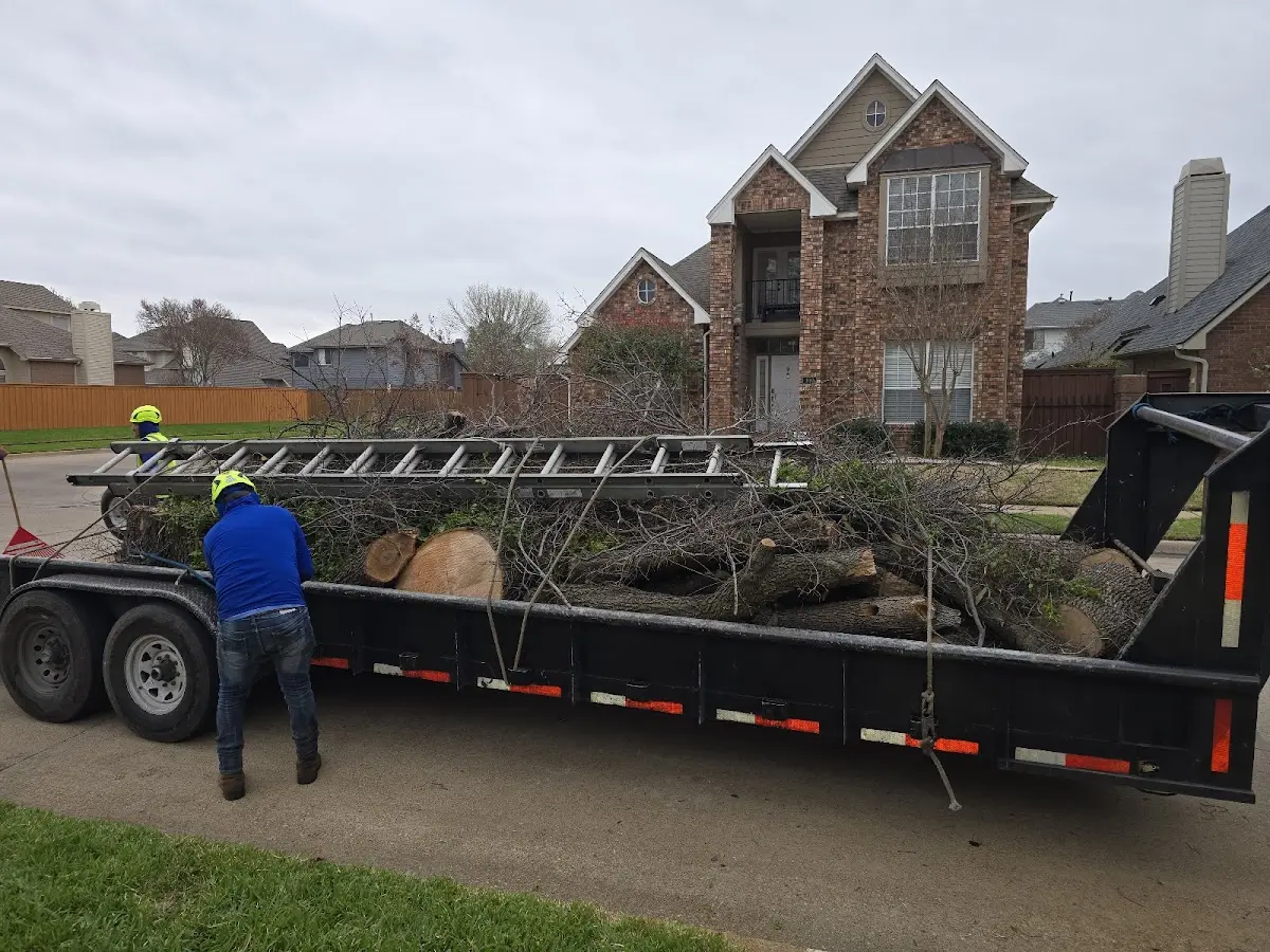 Expert Crown Reduction with proper safety equipment in Richmond Hill